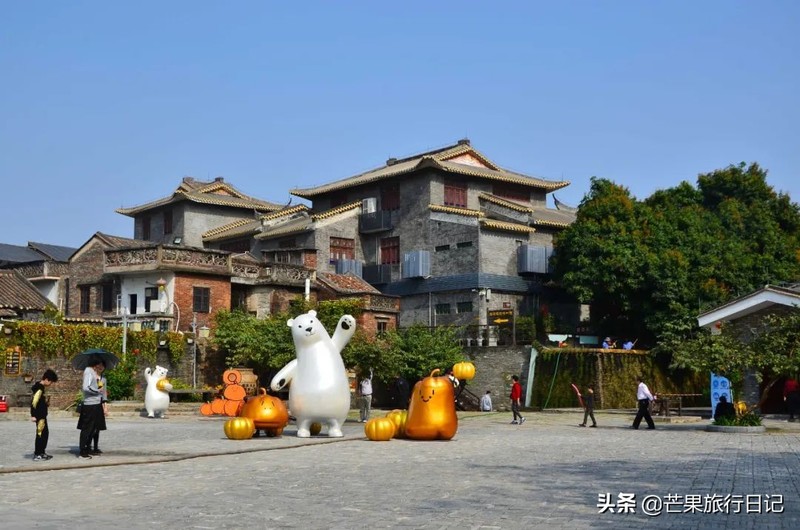 广东发现一百年古树，长在1300°古窑旁，越烧柴火树叶越茂盛