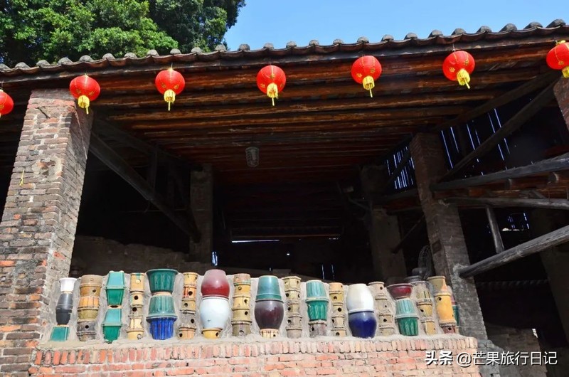 广东发现一百年古树，长在1300°古窑旁，越烧柴火树叶越茂盛