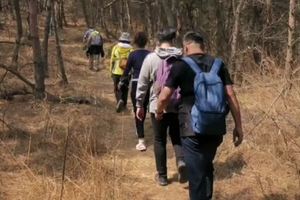 4月5日，大连百合山庄~磨盘山~刀刃山~鸡冠山~老鹞山~长青湖~凌水水库~百合山庄