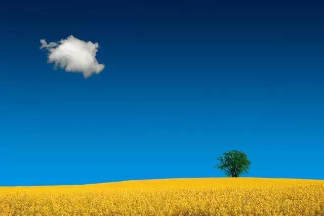 55张世间罕见照片，一眼万年！