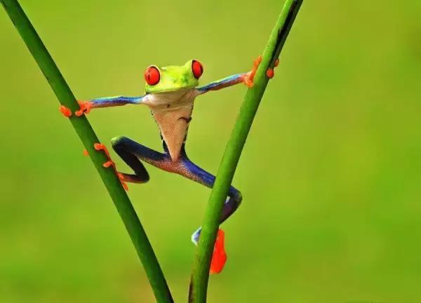 55张世间罕见照片，一眼万年！