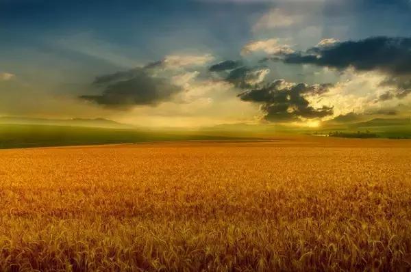 55张世间罕见照片，一眼万年！