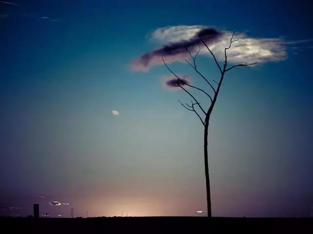 55张世间罕见照片，一眼万年！