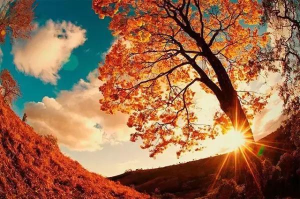 55张世间罕见照片，一眼万年！