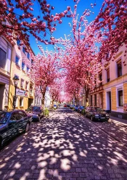 55张世间罕见照片，一眼万年！