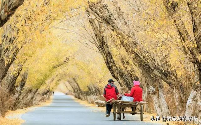 比独库传奇，比318纯粹，它才是中国最美公路No.1！却少有人知