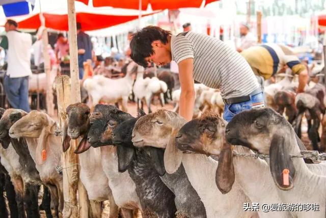 比独库传奇，比318纯粹，它才是中国最美公路No.1！却少有人知