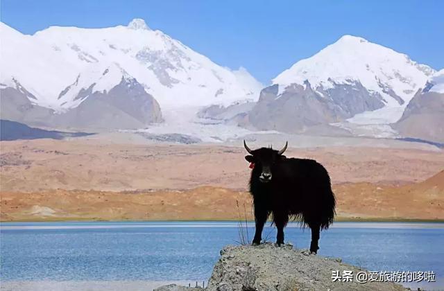 比独库传奇，比318纯粹，它才是中国最美公路No.1！却少有人知