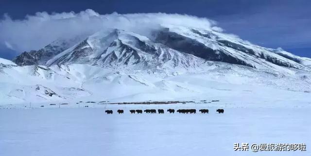 比独库传奇，比318纯粹，它才是中国最美公路No.1！却少有人知