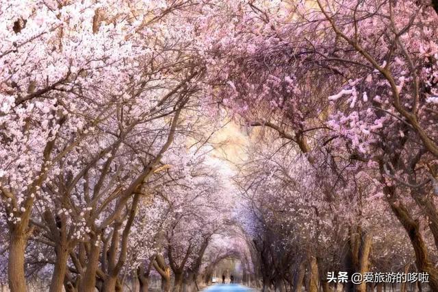 比独库传奇，比318纯粹，它才是中国最美公路No.1！却少有人知