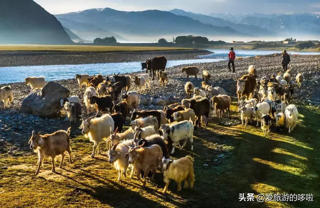 比独库传奇，比318纯粹，它才是中国最美公路No.1！却少有人知