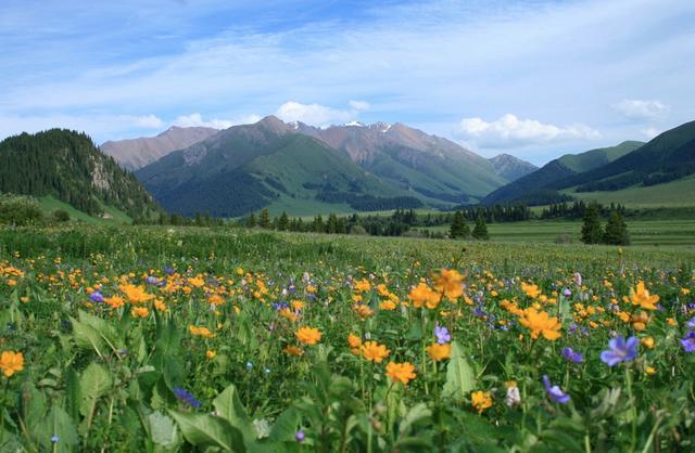 2019独库公路自由行攻略奉上，一张图读懂独库玩法