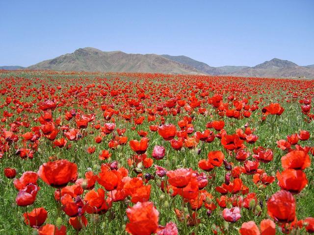 2019独库公路自由行攻略奉上，一张图读懂独库玩法