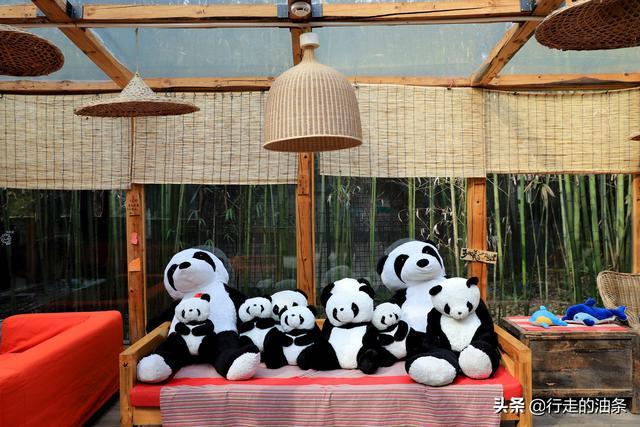 陕西佛坪：秦岭脚下的隐密胜地，世界旅游组织说这里最具旅游价值