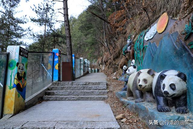 陕西佛坪：秦岭脚下的隐密胜地，世界旅游组织说这里最具旅游价值