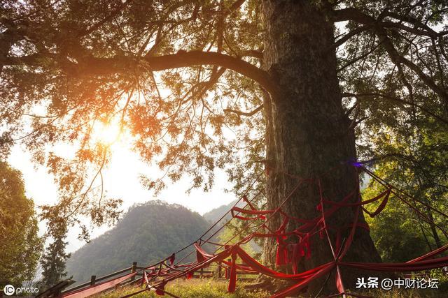 散文：那时，我还有个弟弟