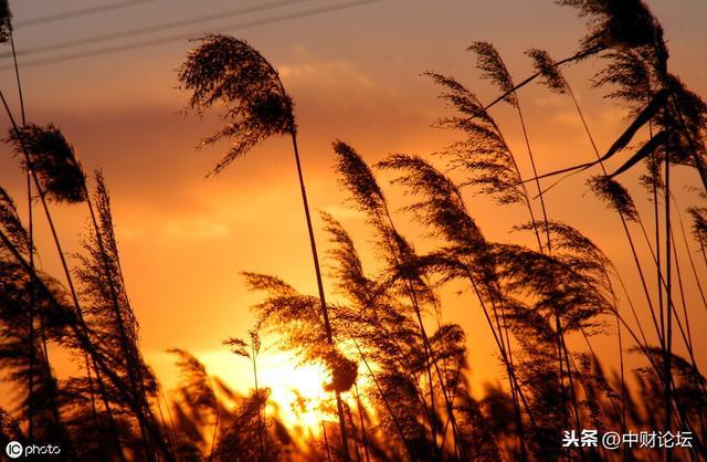 散文：那时，我还有个弟弟