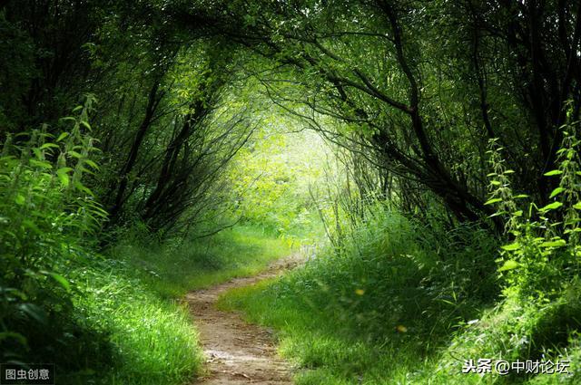 散文：那时，我还有个弟弟