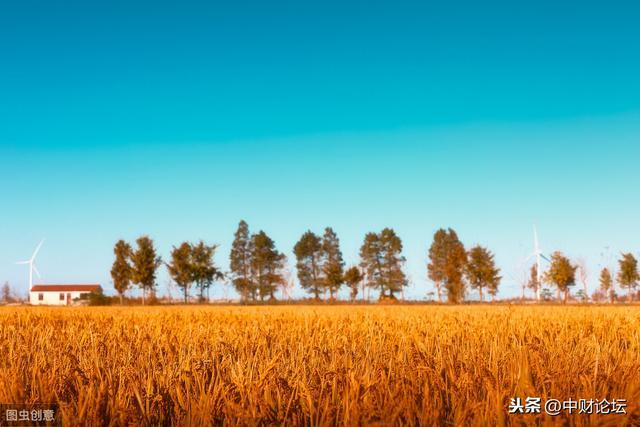 散文：那时，我还有个弟弟