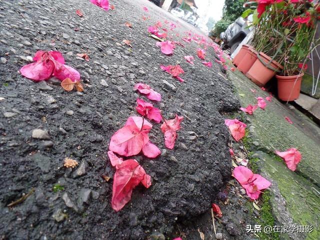 摄影的“构图”到底有什么用意？应该怎么做？其实还要问问自己