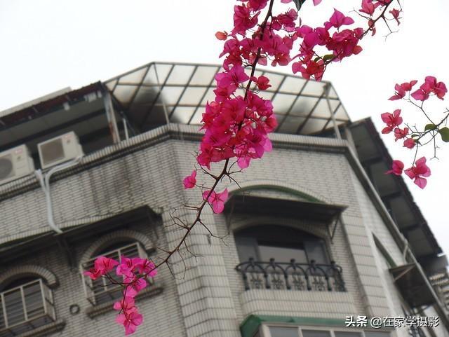 摄影的“构图”到底有什么用意？应该怎么做？其实还要问问自己