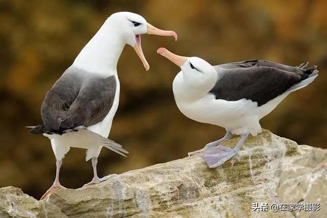 摄影的“构图”到底有什么用意？应该怎么做？其实还要问问自己