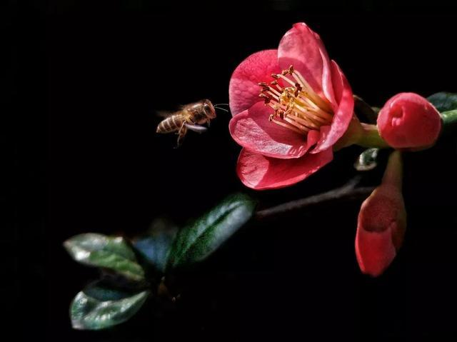 不懂这些拍法，手机再强大也白搭！