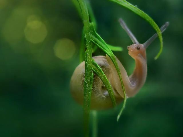 不懂这些拍法，手机再强大也白搭！