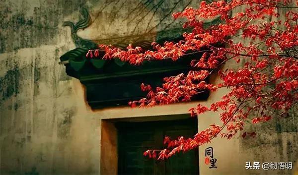 最美的著名古镇，安逸、闲适，存起来，一个个去！人生就完美了