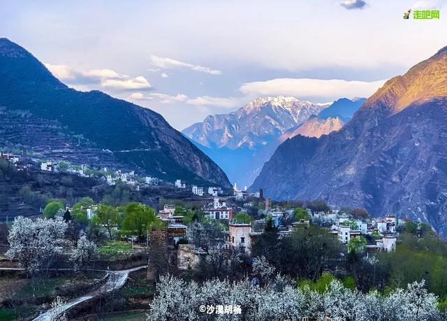 忽如一夜春风来，千树万树梨花开？川藏线最美景观大道完美诠释