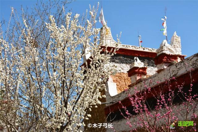 忽如一夜春风来，千树万树梨花开？川藏线最美景观大道完美诠释
