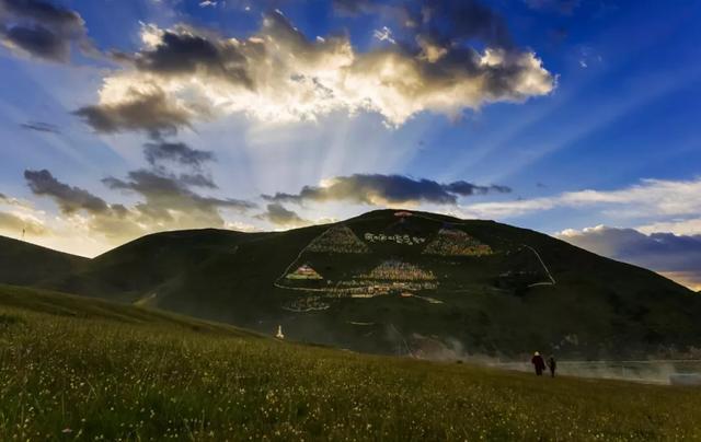 忽如一夜春风来，千树万树梨花开？川藏线最美景观大道完美诠释