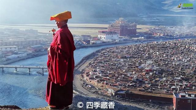 忽如一夜春风来，千树万树梨花开？川藏线最美景观大道完美诠释