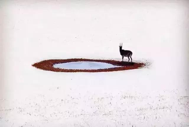 太美了！中国最值得旅游的地方！去了才知道！中国太奇妙......