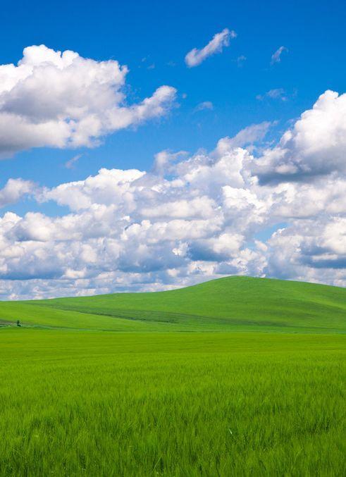 太美了！中国最值得旅游的地方！去了才知道！中国太奇妙......