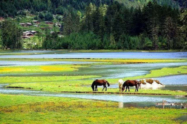 有一个远方，比西藏更西藏，那便是甘孜