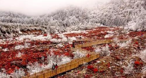 有一个远方，比西藏更西藏，那便是甘孜