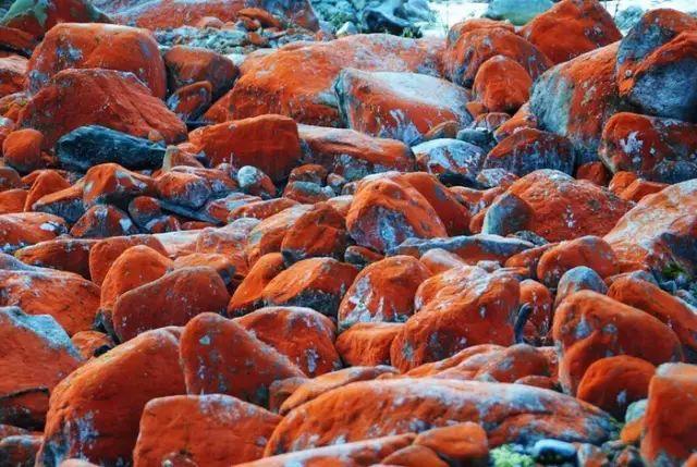 有一个远方，比西藏更西藏，那便是甘孜