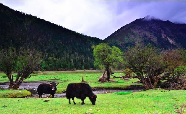 有一个远方，比西藏更西藏，那便是甘孜