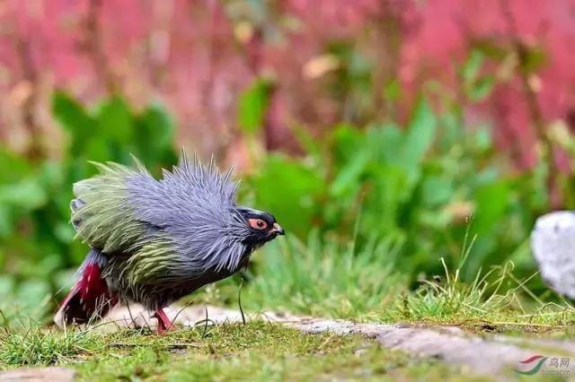 有一个远方，比西藏更西藏，那便是甘孜