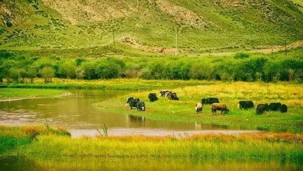 有一个远方，比西藏更西藏，那便是甘孜