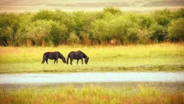 有一个远方，比西藏更西藏，那便是甘孜