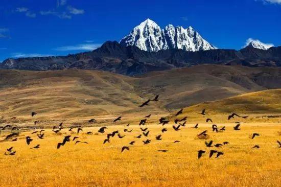 有一个远方，比西藏更西藏，那便是甘孜