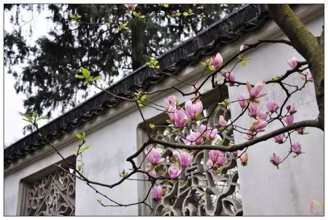 这是最值得收藏的旅行清单，顺着24节气，带娃游遍中国