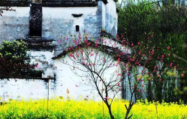 这是最值得收藏的旅行清单，顺着24节气，带娃游遍中国