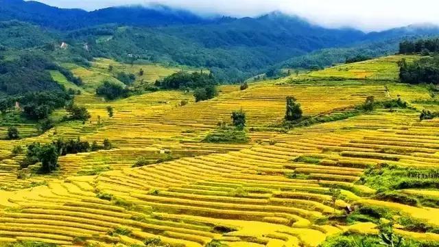 这是最值得收藏的旅行清单，顺着24节气，带娃游遍中国