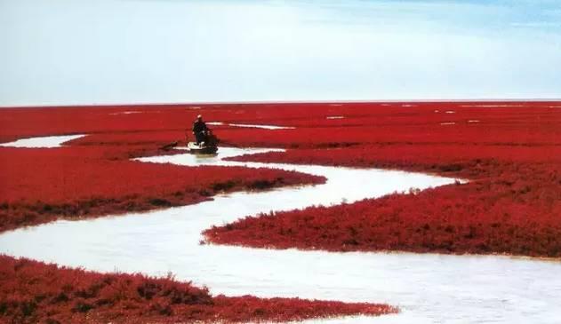 这是最值得收藏的旅行清单，顺着24节气，带娃游遍中国