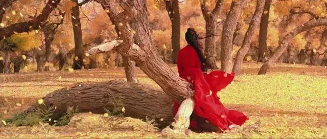 这是最值得收藏的旅行清单，顺着24节气，带娃游遍中国