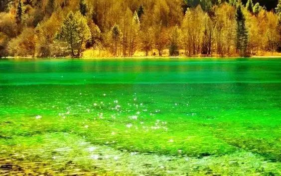 这是最值得收藏的旅行清单，顺着24节气，带娃游遍中国