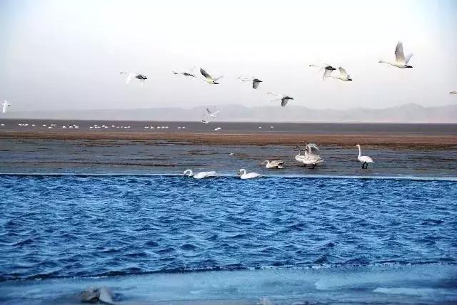 这是最值得收藏的旅行清单，顺着24节气，带娃游遍中国